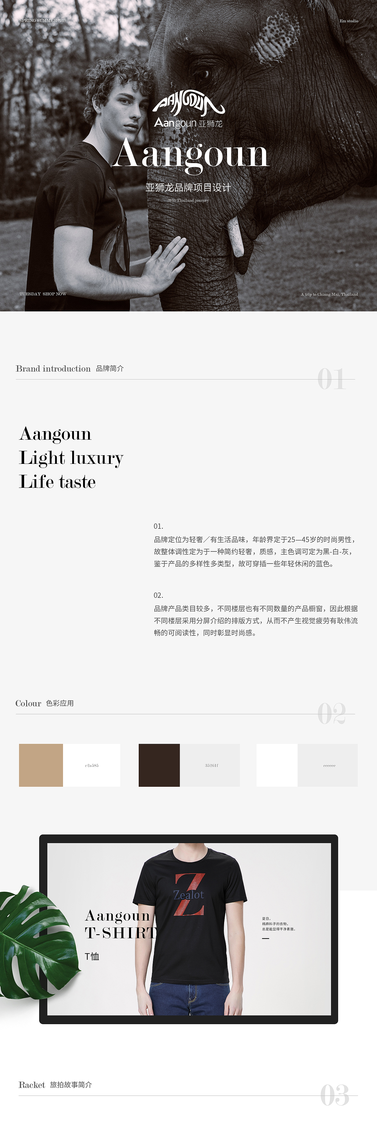 近期品牌项目汇总/亚狮龙/知茶事/首页/详情页/服装（图ZMTE1MjM3NDA4） - 电商 - 站酷设计师圣思羽品牌策划原创素材 - 站酷ZCOOL