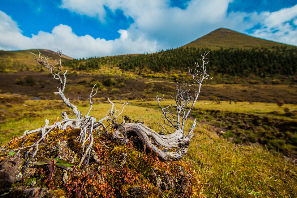《那年西藏行》--周恩旭