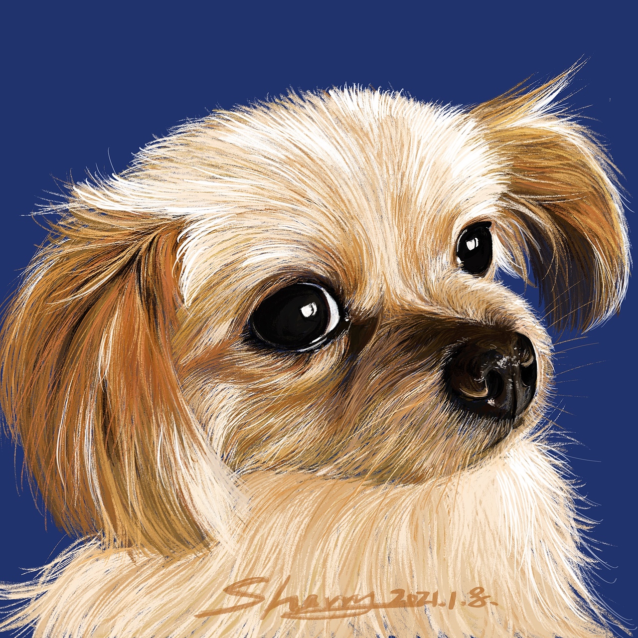 多米（图ZMjM5NDY2MTc2） - 创作习作 - 站酷设计师谢晓尘原创素材 - 站酷ZCOOL