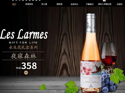 详情页，首页，主图，钻展图，直通车