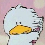 鸭屁屁的头像