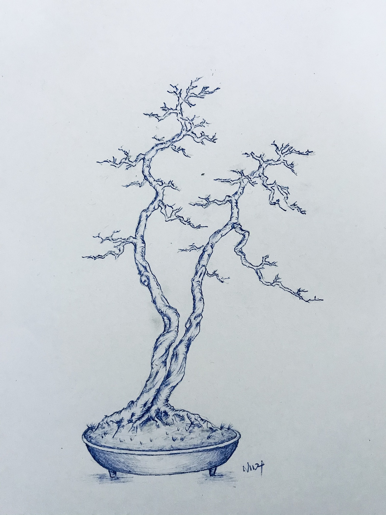 手绘盆景（图ZMjUzMzMyMDQ0） - 绘画 - 站酷设计师Z75835907原创素材 - 站酷ZCOOL