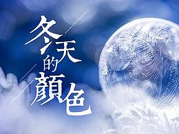 冬天的颜色banner