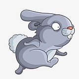 十安Ann的头像