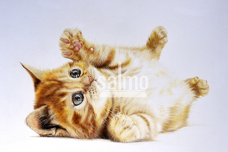 喵~（图ZNjMyNjU4OTY=） - 绘画 - 站酷设计师xuanye1836原创素材 - 站酷ZCOOL