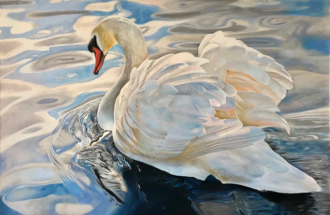 彩铅动物系列之-白天鹅、霹雳马绿辉偏写实风格