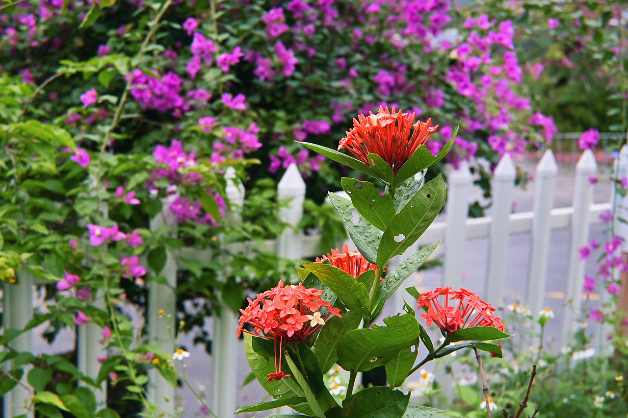 古兜温泉♨（图ZMzMyNjI2Mjky） - 人文/纪实摄影 - 站酷设计师长得很酷的JIM原创素材 - 站酷ZCOOL