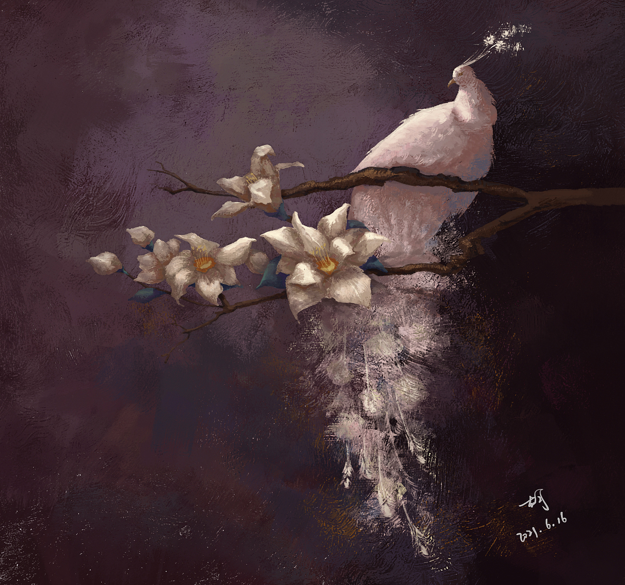 最近的一些学习