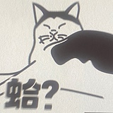 二胡子猫的头像