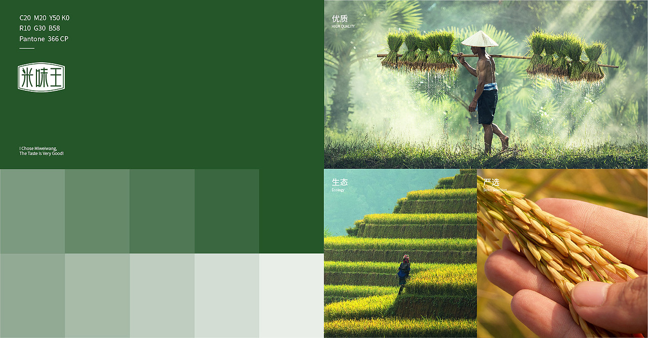 米味王品牌设计