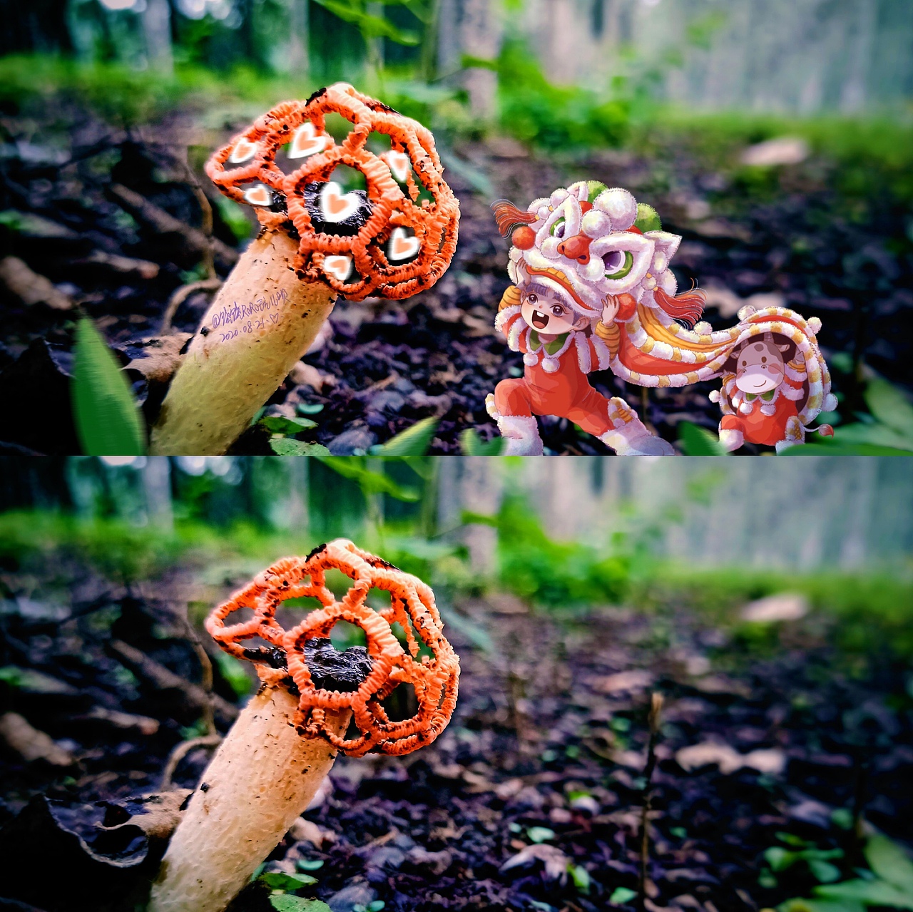 温柔的小世界