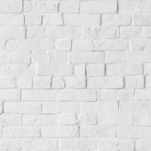 玉米肉粒飯的個人主頁（背景預覽） - 主頁背景設置 - 站酷設計師玉米肉粒飯原創(chuàng)素材 - 站酷ZCOOL