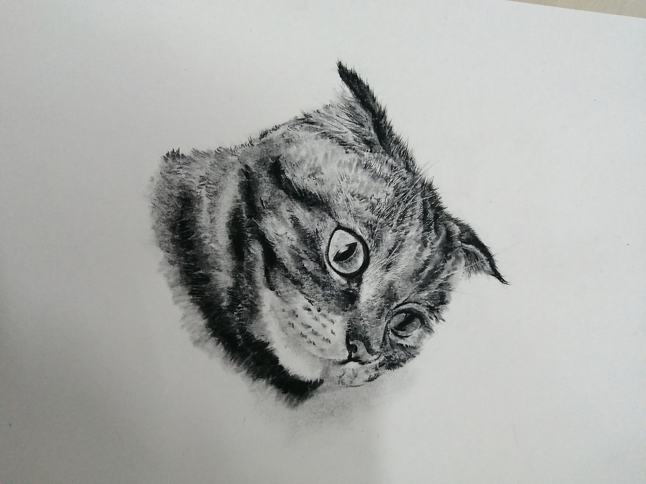 喵（图ZMTg4MDgzNzg4） - 绘画 - 站酷设计师老大哥在看你原创素材 - 站酷ZCOOL