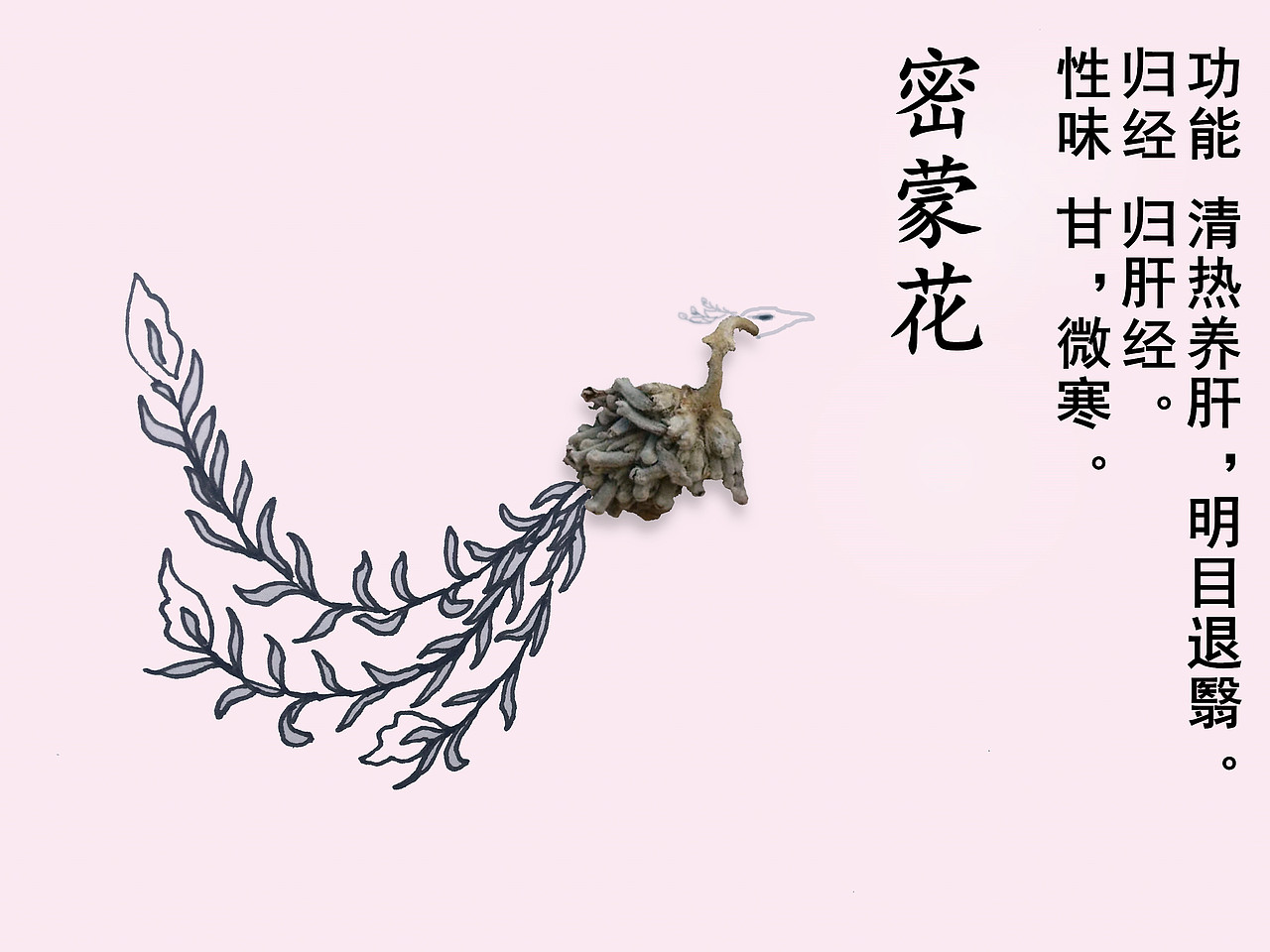 中药插画（图ZMjcyNTMwODYw） - 概念设定 - 站酷设计师Leonardo医生原创素材 - 站酷ZCOOL