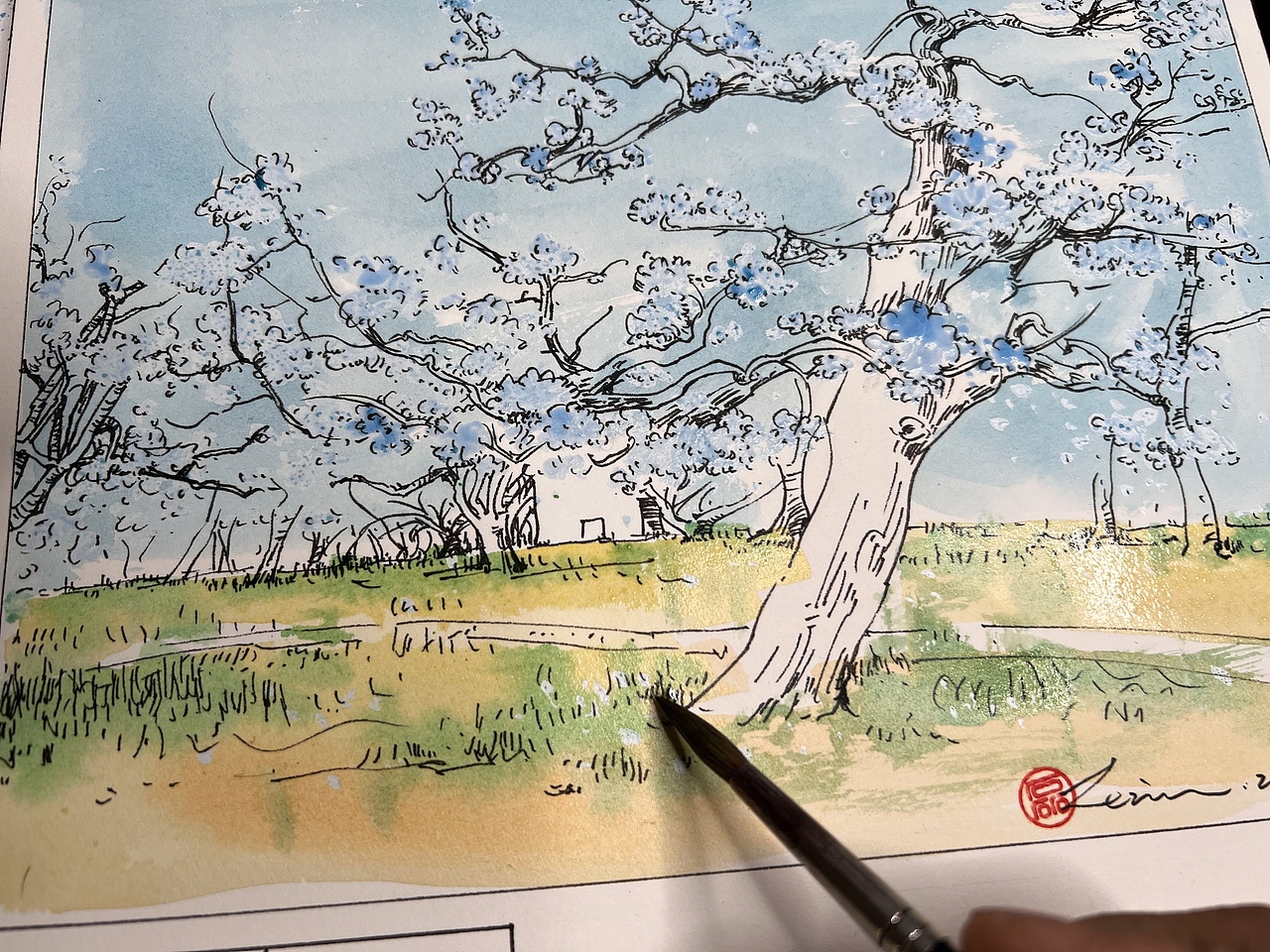 钢笔淡彩分镜,梨花农场,步骤图。