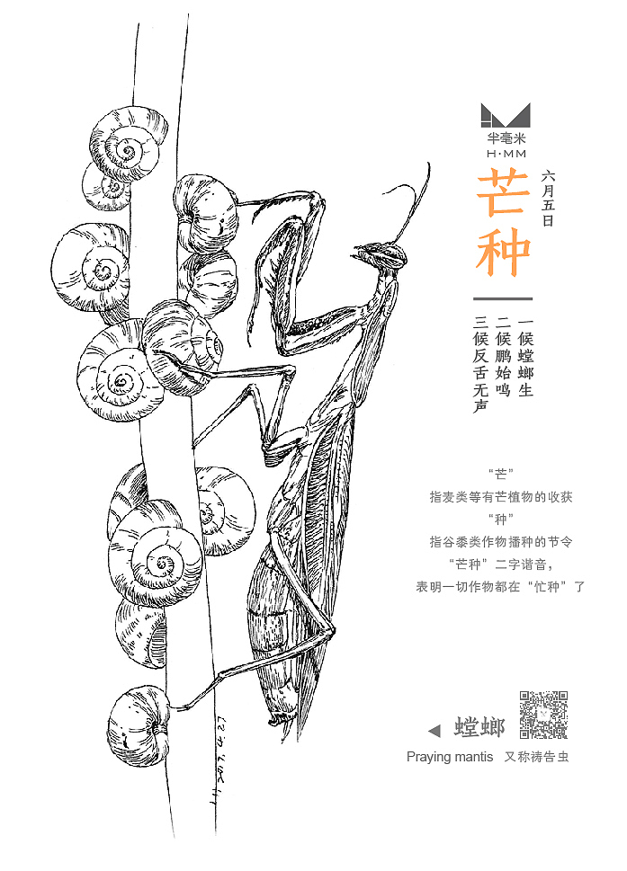 夏之节气（图ZODgyNTgyMjQ=） - 艺术插画 - 站酷设计师半毫米原创素材 - 站酷ZCOOL