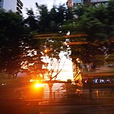 眼镜和阿泉的枕头的头像