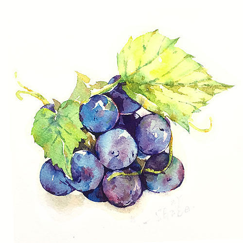 一些水彩植物（图ZMzM3NzUwNzI=） - 创作习作 - 站酷设计师一点张原创素材 - 站酷ZCOOL