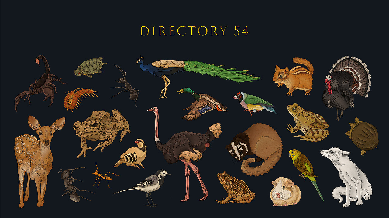 《野生保护动物名录》| 2020毕业设计