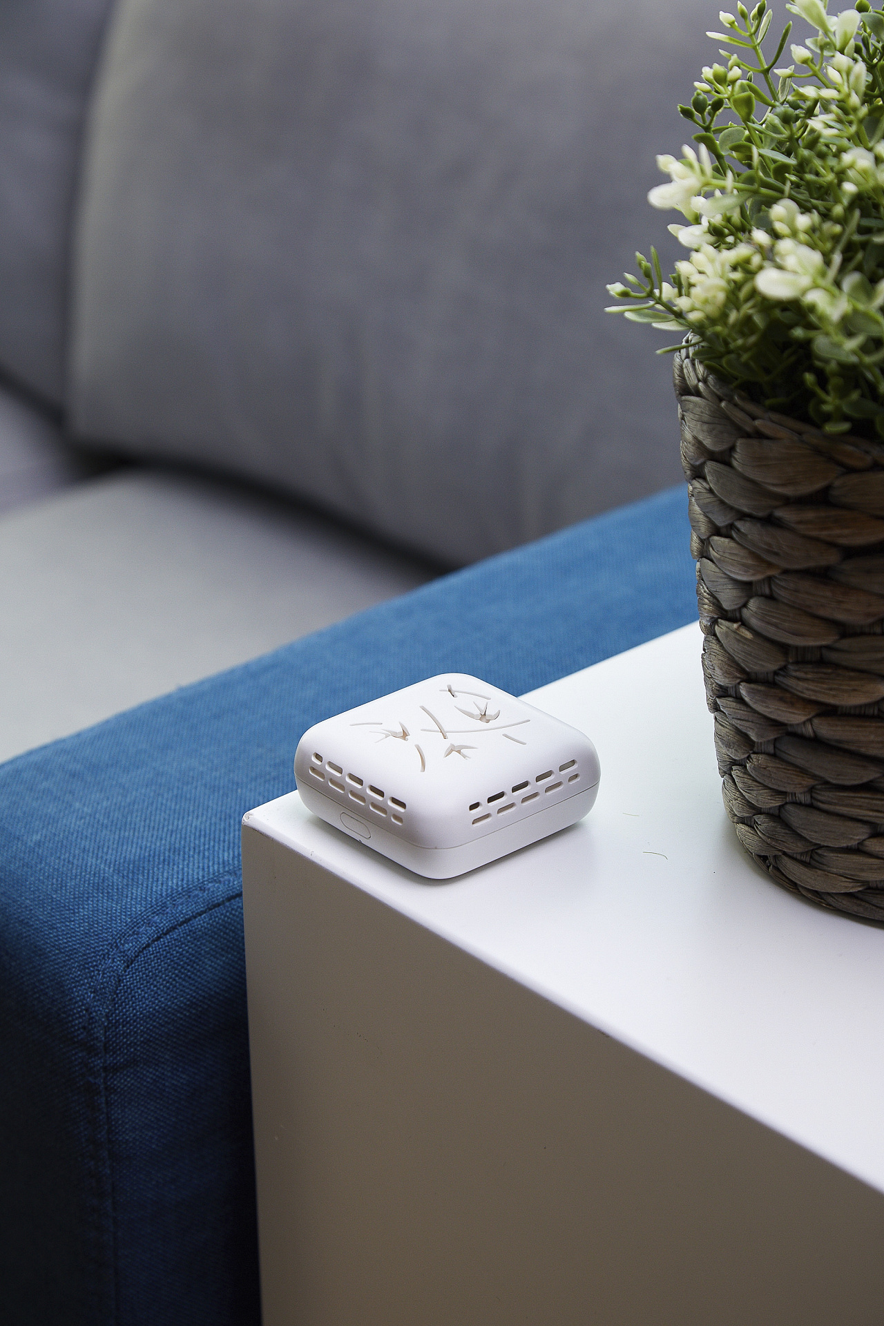 电子香薰,紫罗兰的夏天