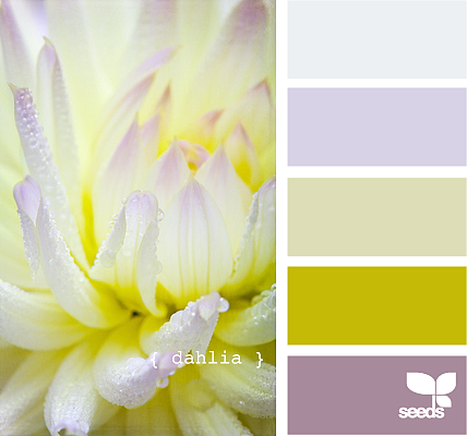 美丽的配色卡啊——02（图ZMTQwMzYyODUy） - 图案 - 站酷设计师Bona_Dai原创素材 - 站酷ZCOOL