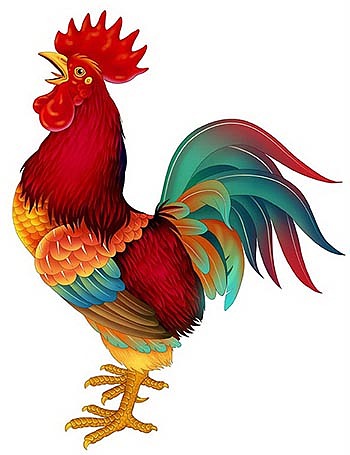 手绘工笔鸡(彩色鸡)
