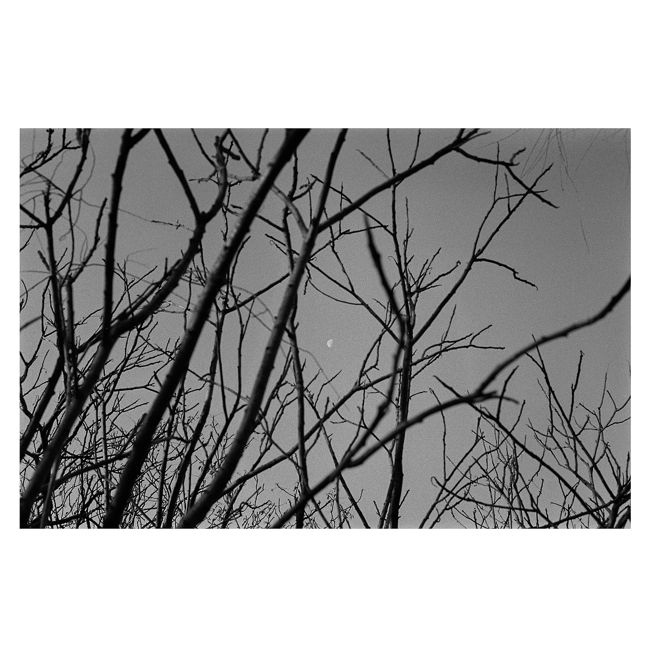 街头胶片摄影｜部分黑白合集 by Leica M6（图ZMjg2NjkzODA4） - 人文/纪实摄影 - 站酷设计师刘小川原创素材 - 站酷ZCOOL
