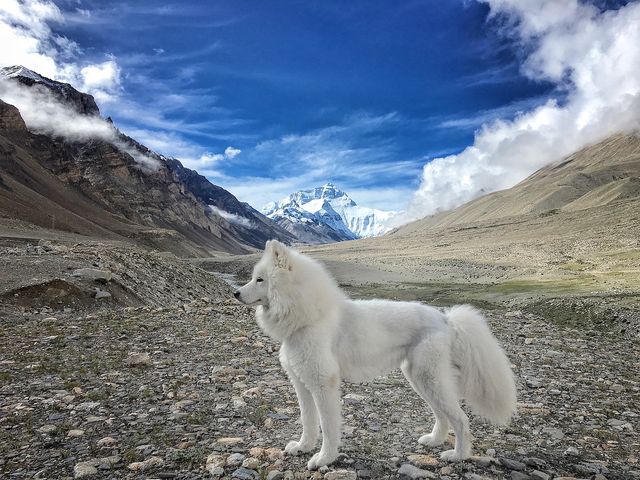 这里是珠峰,有人在拍裸照