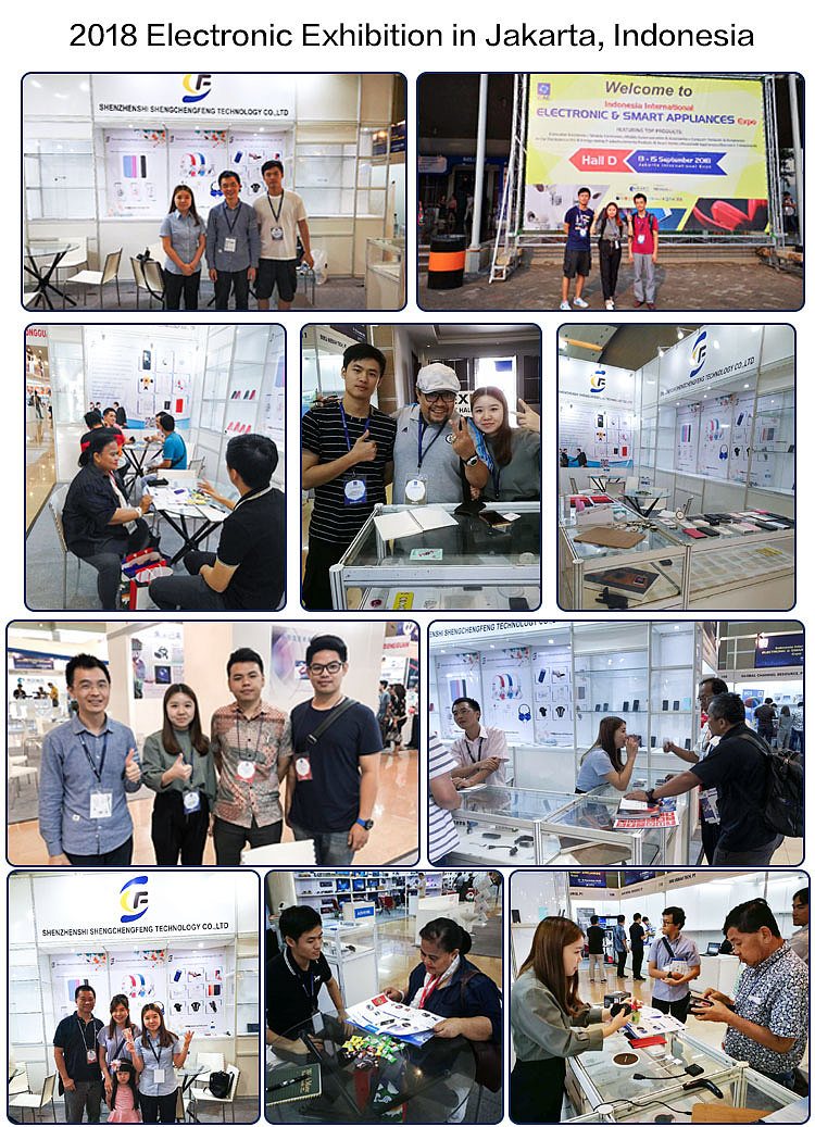 去印尼,巴西、肯尼亚、南非参加电子展画册
