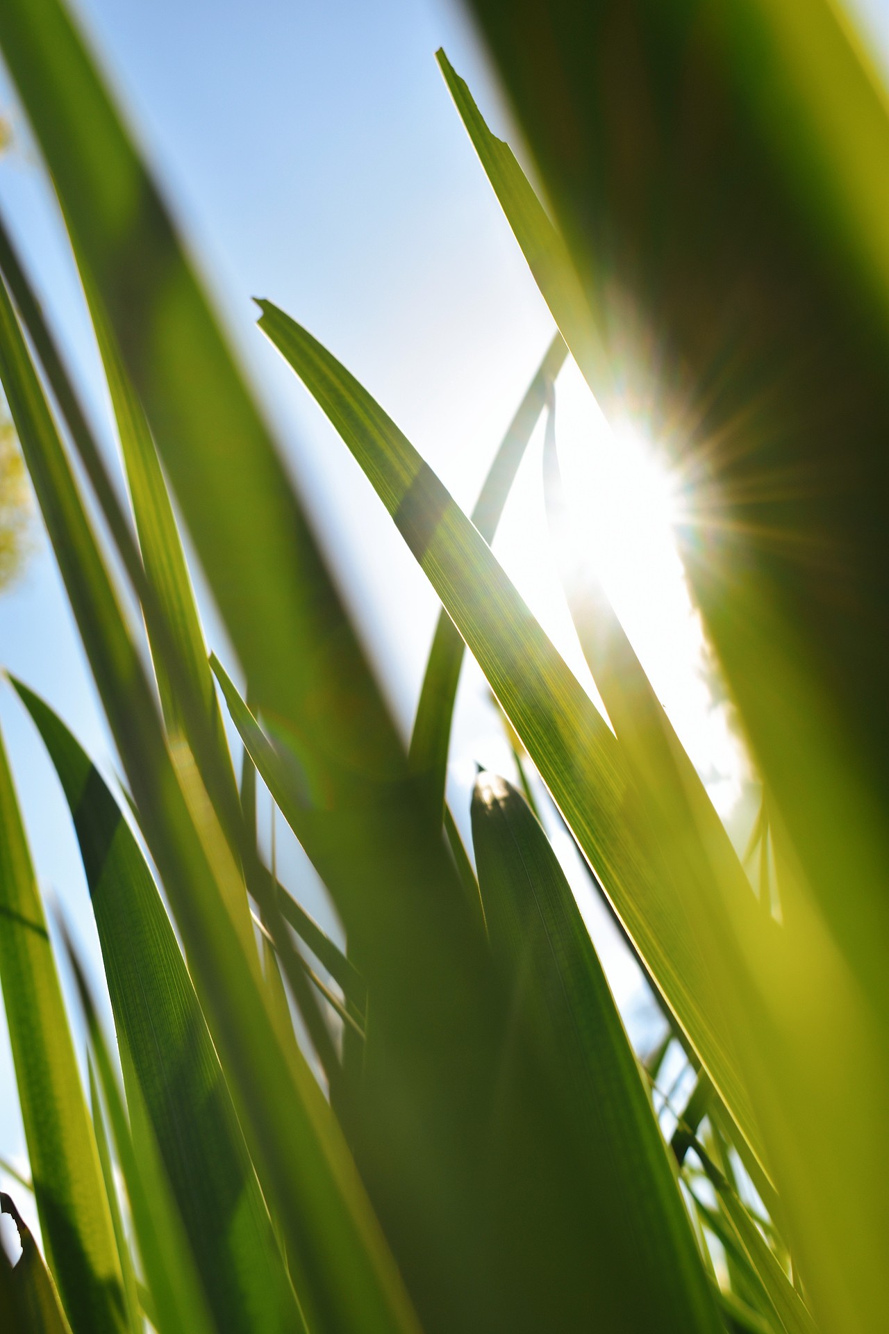 日出印象（圖ZMjcyNDI4MDY0） - 風光攝影 - 站酷設計師痞子帽原創(chuàng)素材 - 站酷ZCOOL