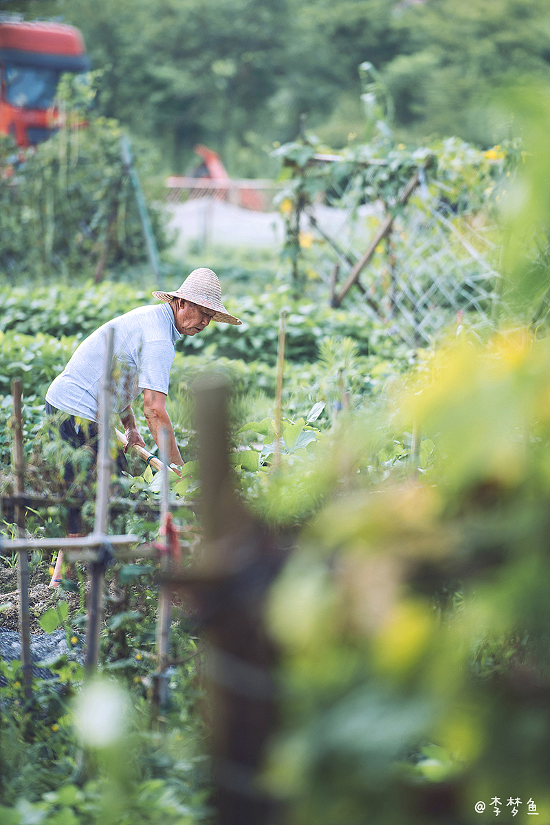 李梦鱼的夏天～2020（图ZMjIyMjM0NTYw） - 人像摄影 - 站酷设计师腰果虾仁原创素材 - 站酷ZCOOL