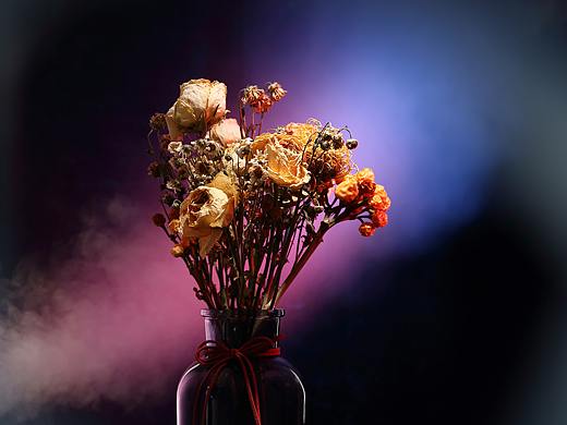 插花系列--干花