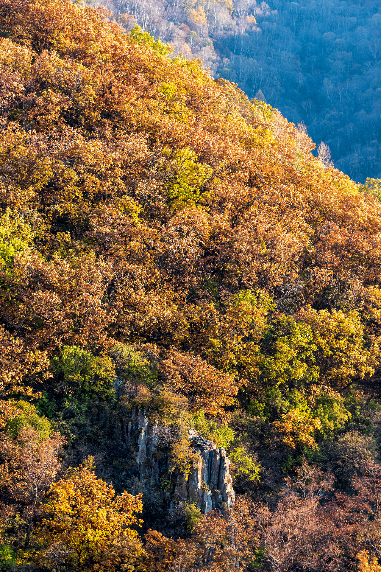 北京百花山国家自然公园的秋天