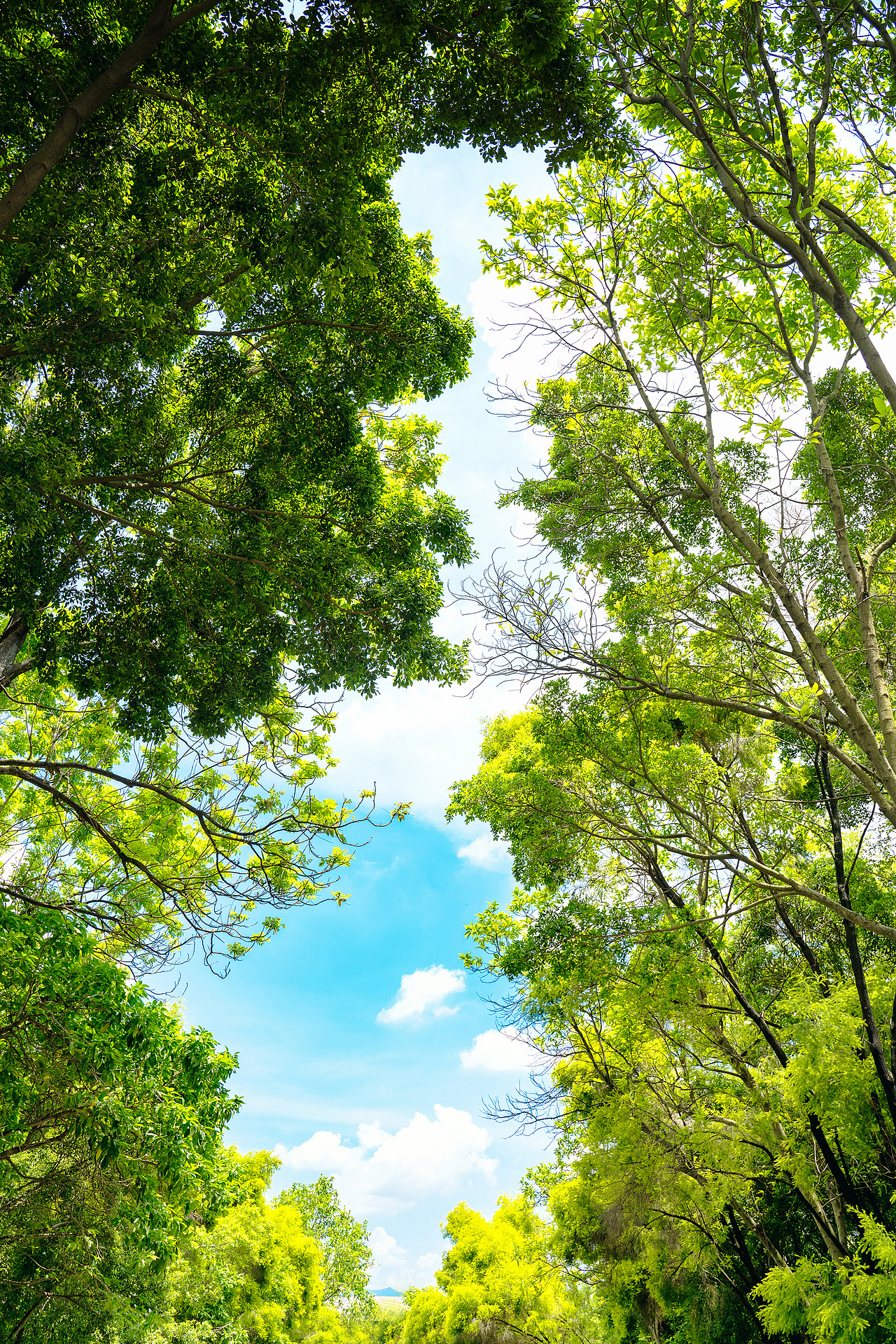 深圳园博园2021（图ZMjYxNTE5MTY4） - 人文/纪实摄影 - 站酷设计师摄影师杨涛原创素材 - 站酷ZCOOL