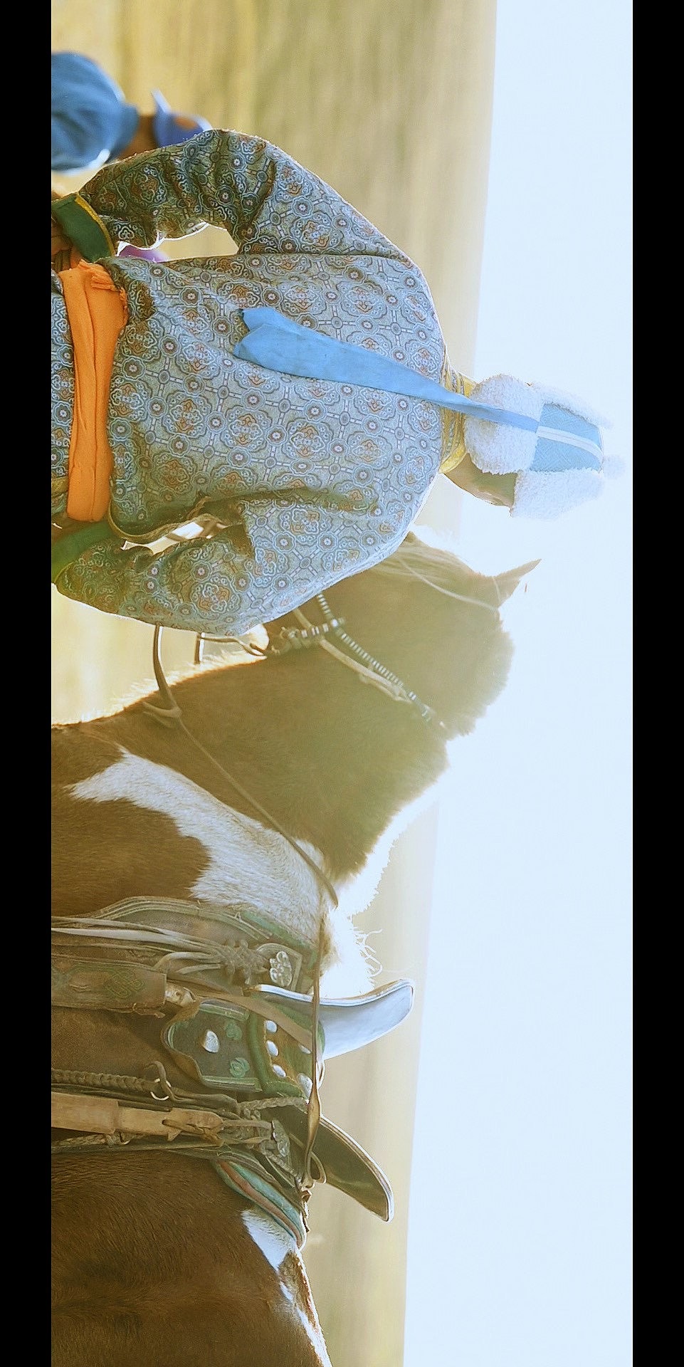 秋（图ZMjM0NTA1OTQ4） - 风光摄影 - 站酷设计师li立三原创素材 - 站酷ZCOOL