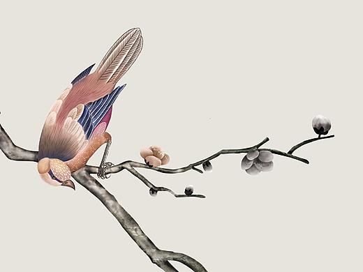 工笔 花鸟（个人主页-ZMzc2MDI1NzI=） - 图案 - 站酷设计师变异黑猫原创素材 - 站酷ZCOOL