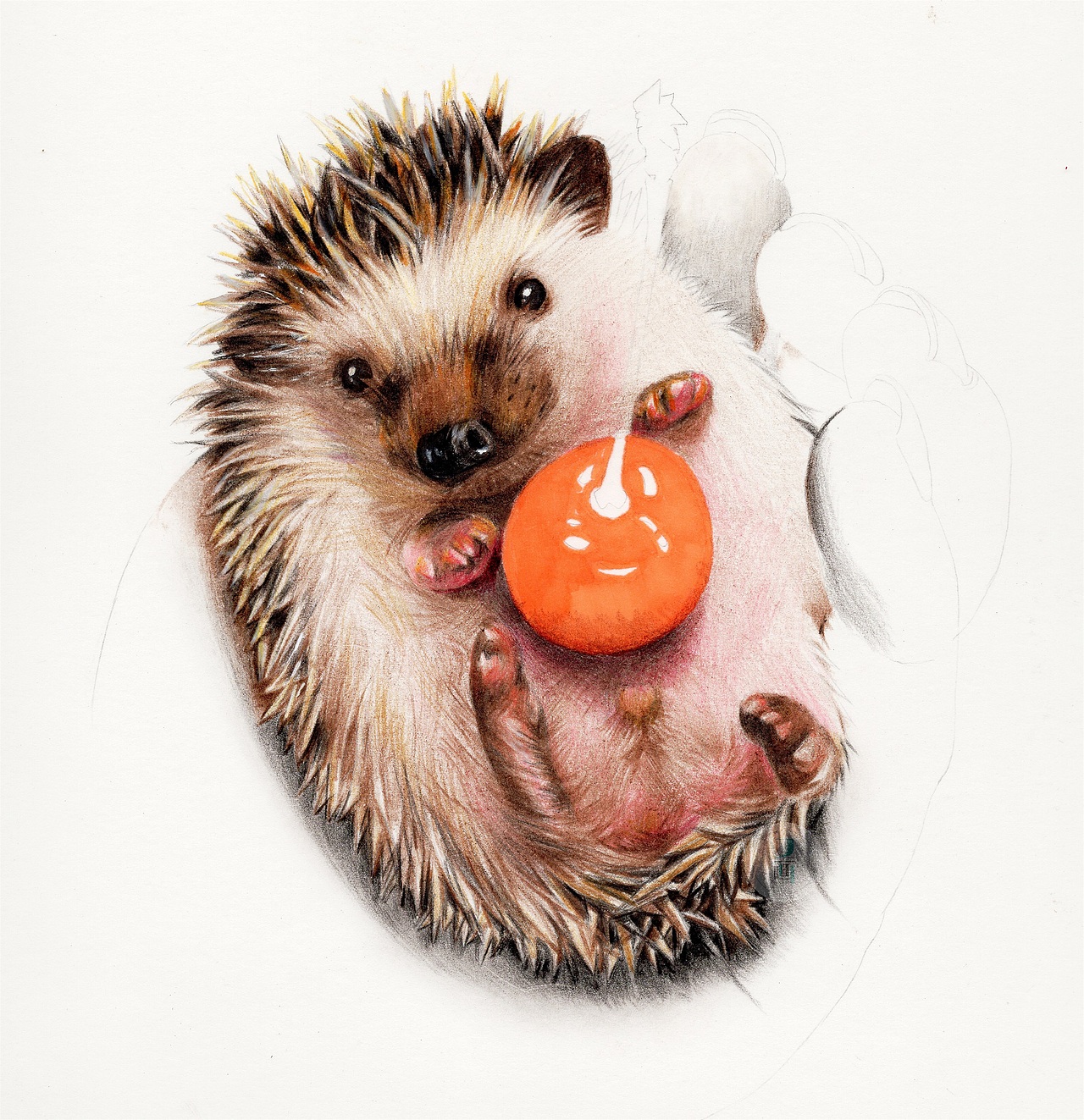 彩铅| 刺猬超写实