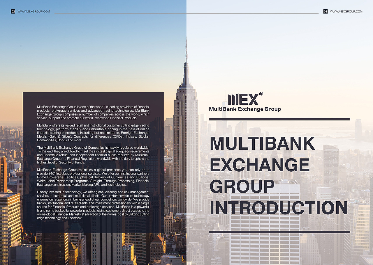 大通金融集团（外企）平面作品