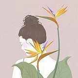 矮木Cricket的头像