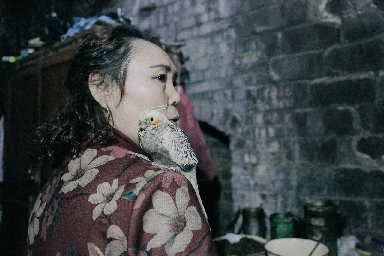 三月重庆成都所见所闻