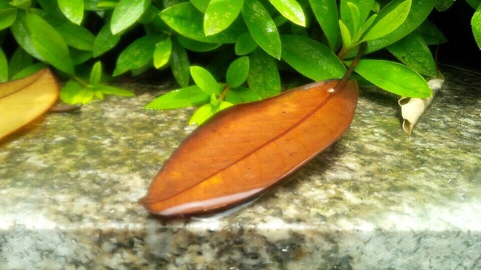 毕业时出来带的东西 给公司看的也是这个 完全懵逼