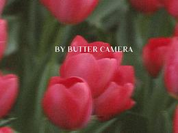 郁金香的季節(jié)