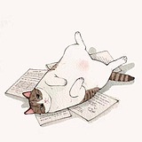 奥利奥是只猫的头像