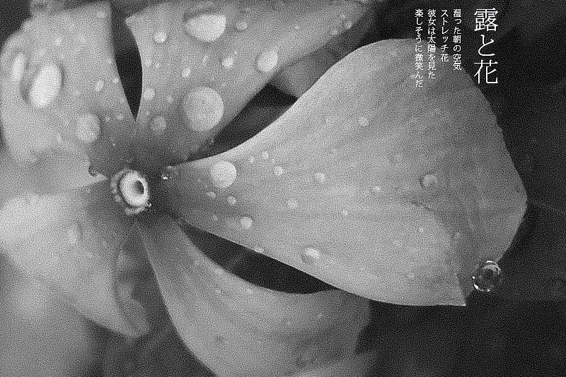 废片实验（图ZMTQ3MTQ2MTI=） - 其他摄影 - 站酷设计师AlexNin原创素材 - 站酷ZCOOL