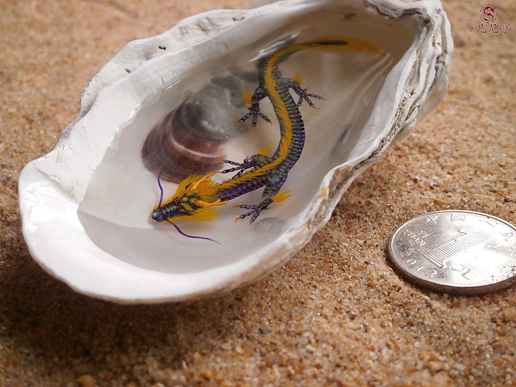 蚝壳寄居小神龙