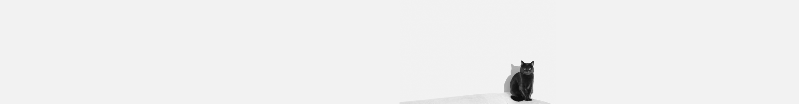 山生有杏_的个人主页（封面预览） - 主页封面设置 - 站酷设计师山生有杏_原创素材 - 站酷ZCOOL