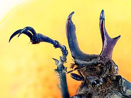 APP---【SHE JI】---图标