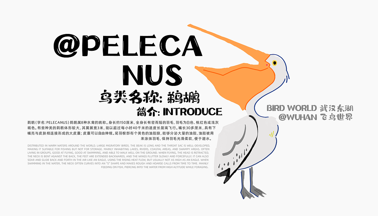 中南财经政法大学丨数字媒体专业丨周同学丨向量设计（图ZMzY1NDA5MjMy） - APP界面 - 站酷设计师武汉向量设计原创素材 - 站酷ZCOOL