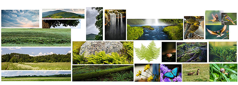 吉他创意合成海报（图ZMTAyNTczMTQw） - 运营设计 - 站酷设计师L__Min原创素材 - 站酷ZCOOL