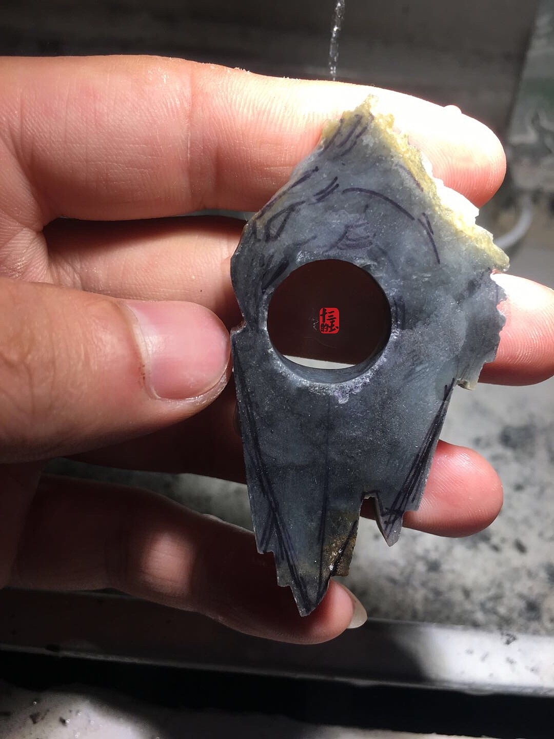 鹰击·长空·竞自由